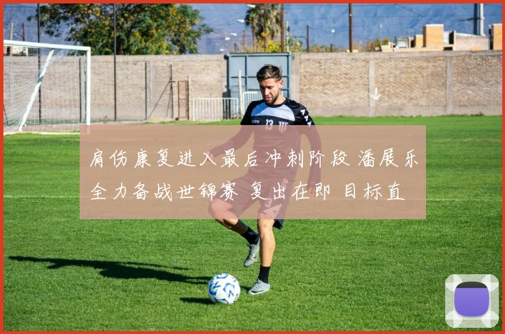 肩伤康复进入最后冲刺阶段 潘展乐全力备战世锦赛 复出在即 目标直指最高领奖台