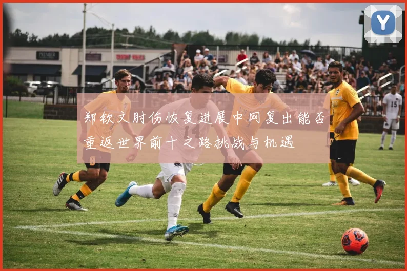 郑钦文肘伤恢复进展中网复出能否重返世界前十之路挑战与机遇