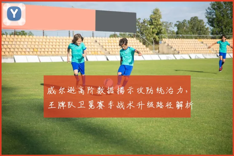威尔逊高阶数据揭示攻防统治力，王牌队卫冕赛季战术升级路径解析