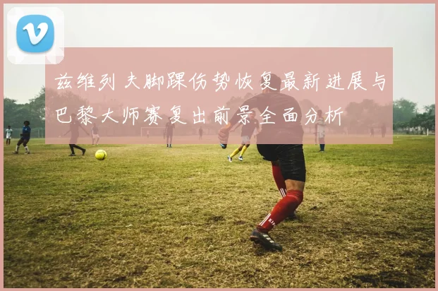 兹维列夫脚踝伤势恢复最新进展与巴黎大师赛复出前景全面分析